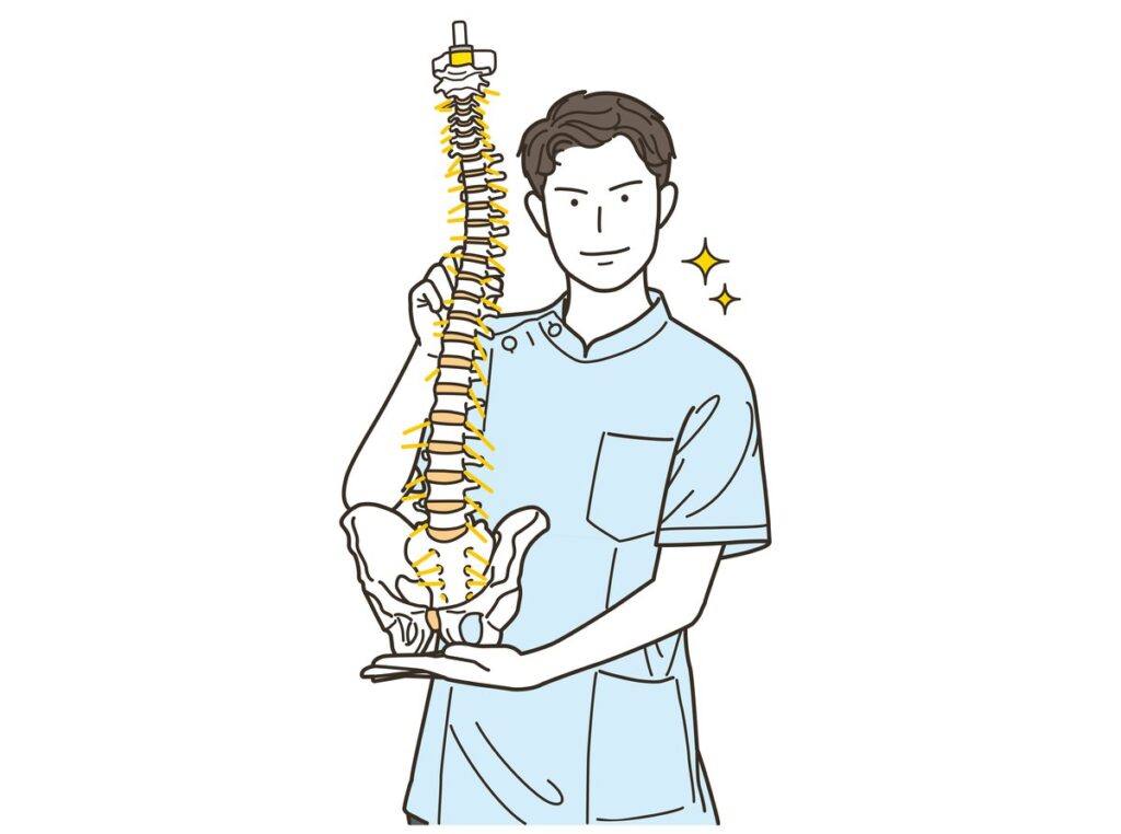背骨の模型を持つ理学療法士のイラスト